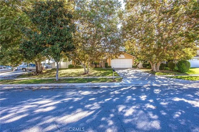 a house that has a tree in front of it