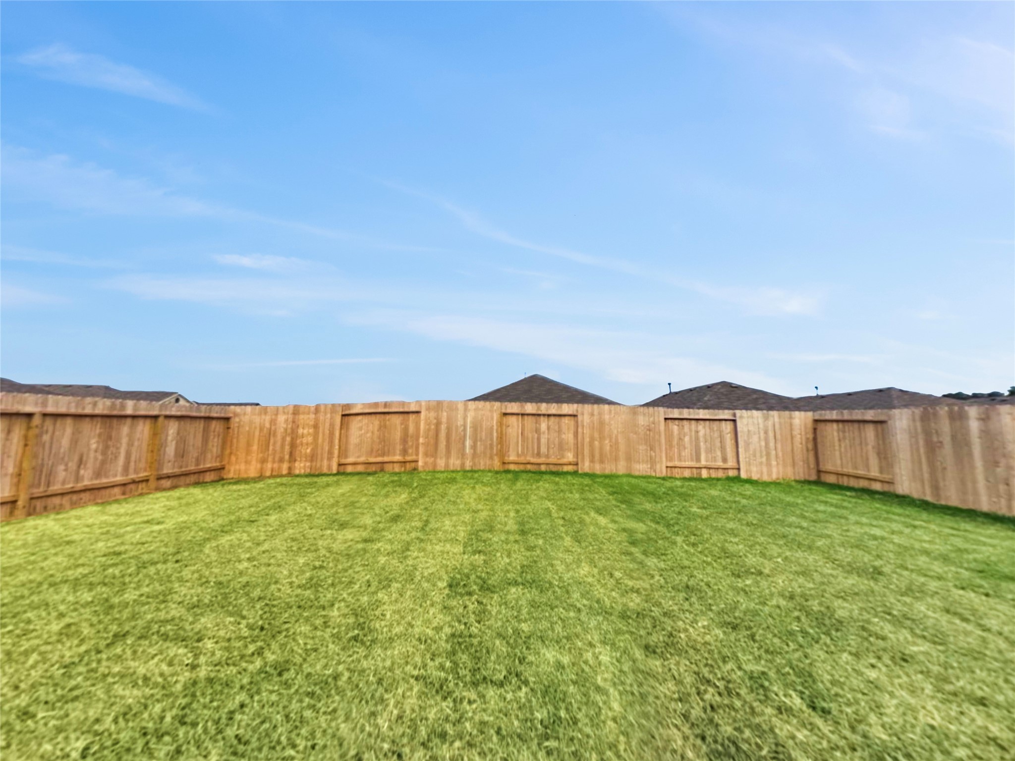 31460 Moore Road Magnolia, TX 77354 - Photo 17 of 17 a view of a yard with a large trees