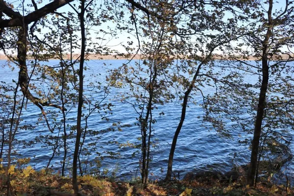 $299,900 | Xxx7 Xxx7 Serenity Lane Southwest, Alexandria, MN 56308