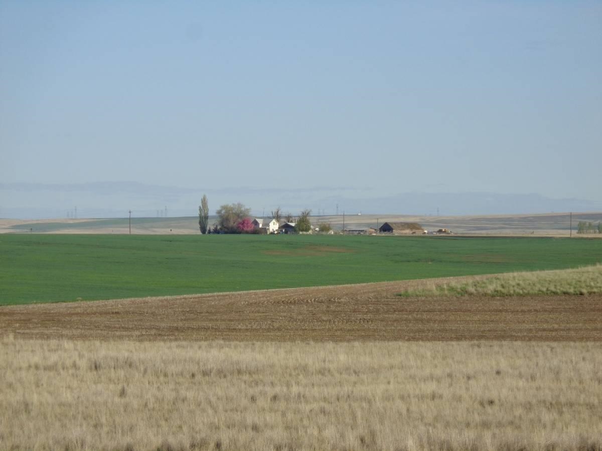 Nka Nka Road Hartline, WA 99135 - Photo 4 of 10 Gallery Image 4