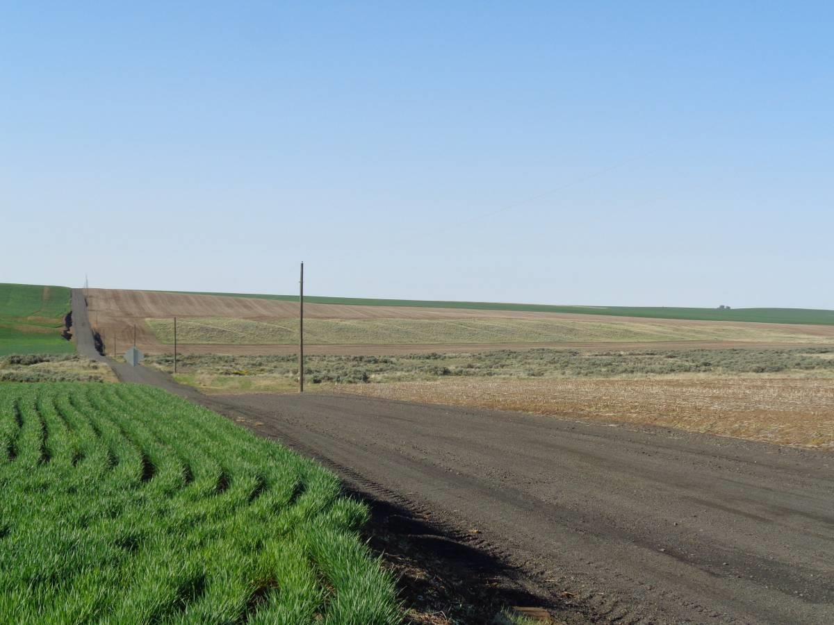 Nka Nka Road Hartline, WA 99135 - Photo 6 of 10 Gallery Image 6