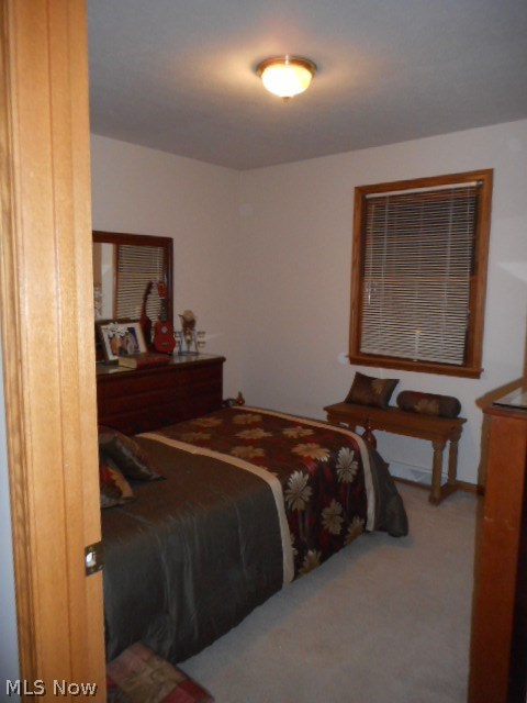 335 Wilson Sharpsville Road Warren, OH 44481 - Photo 15 of 27 Gallery Image 15