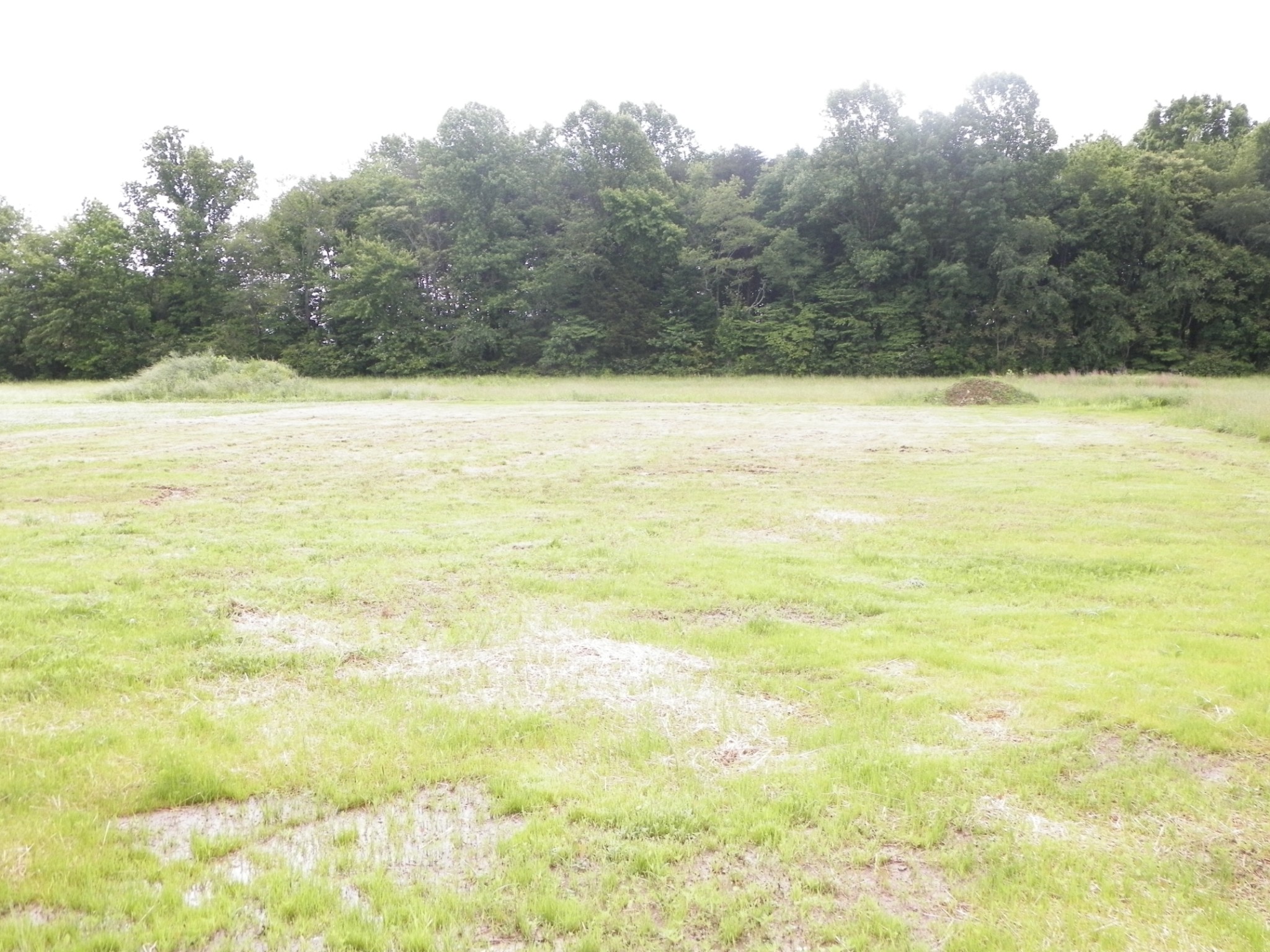 103 Butler Road Lafayette, TN 37083 - Photo 3 of 13 Gallery Image 3