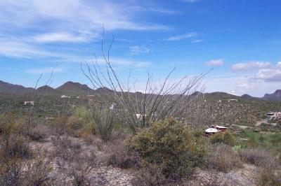 6400 West Sunset Road Tucson, AZ 85743 - Photo 7 of 10 Gallery Image 7