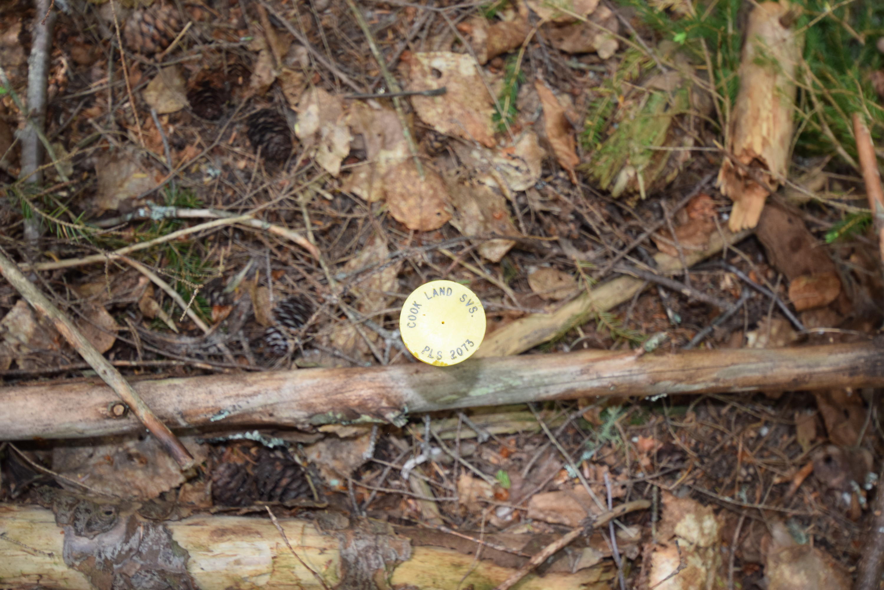0 Chadwick Pt Road Weston, ME 04424 - Photo 12 of 20 Surveyed...