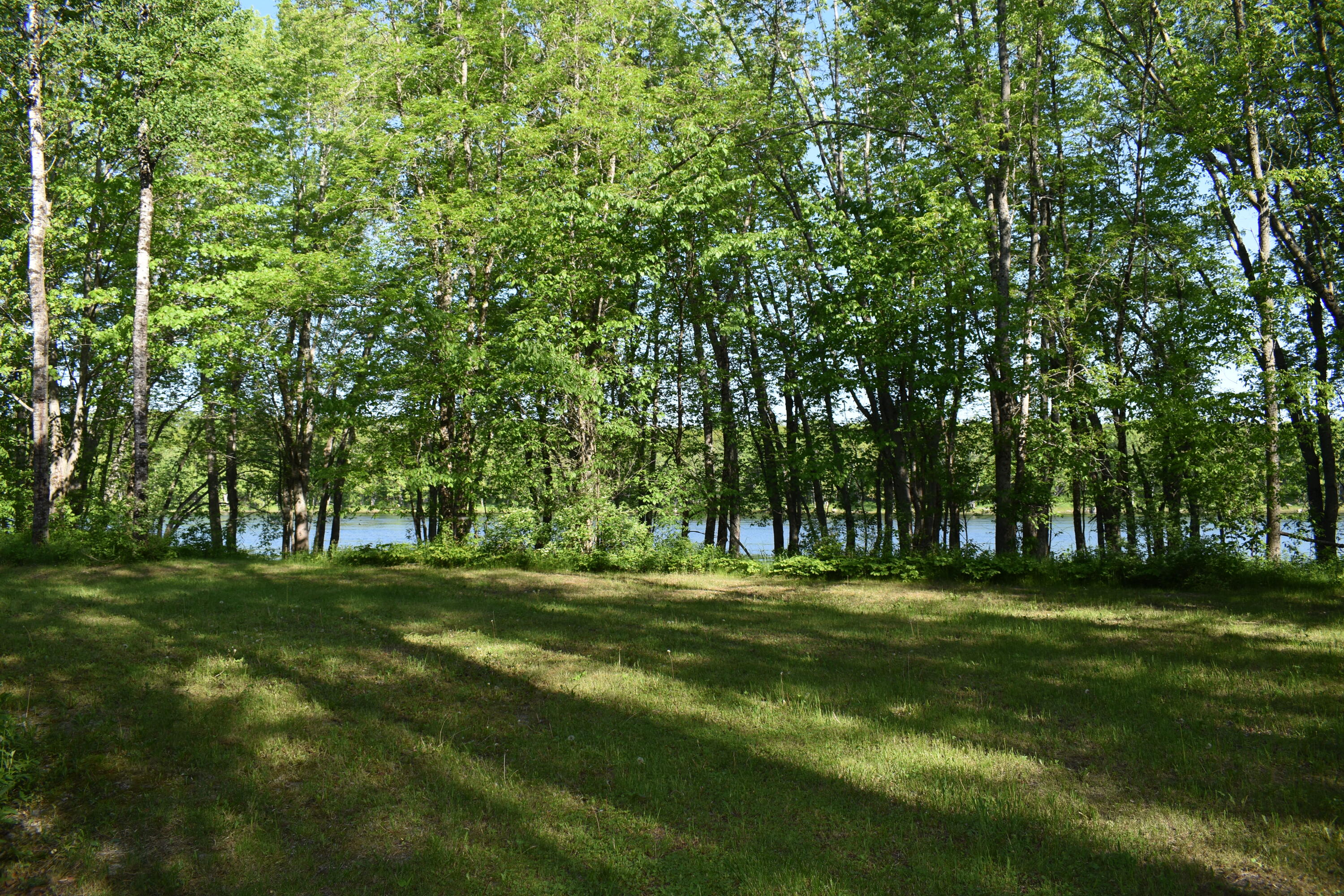 Lot 37 Mohawk Road West Enfield, ME 04493 - Photo 12 of 26 DSC_0021