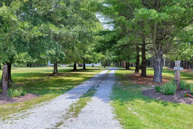 a view of a park with tree s