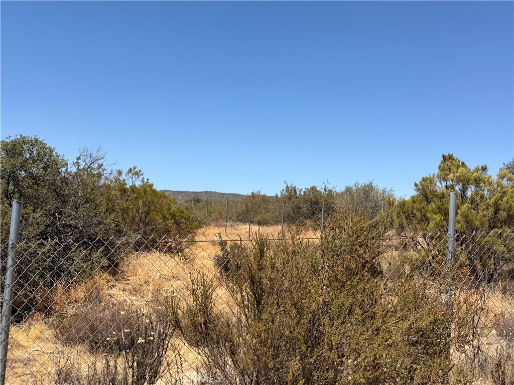 58650 Wellman Road Anza, CA 92539 - Photo 3 of 4