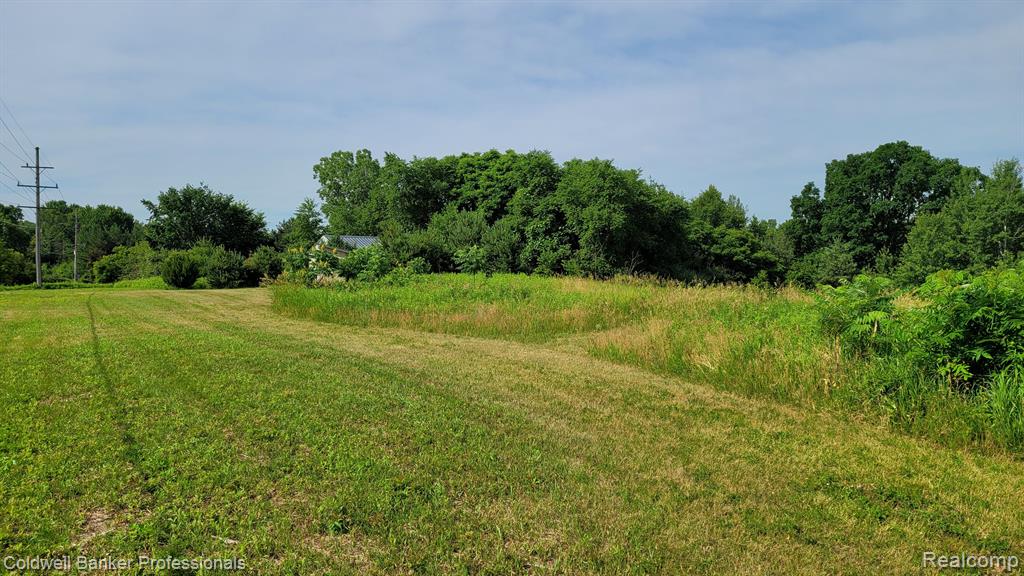 0 North Lapeer Road Columbiaville, MI 48421 - Photo 7 of 20
