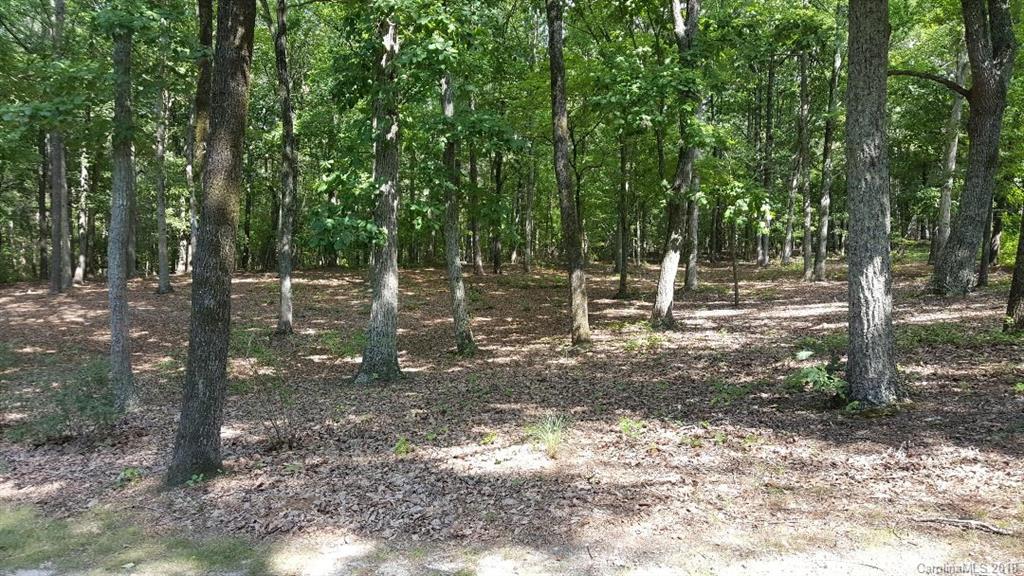 1242 Currie Road Candor, NC 27229 - Photo 3 of 4 Gallery Image 3