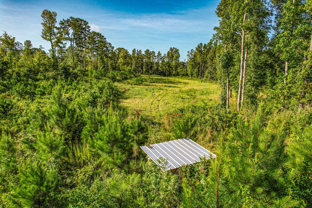 2100 Colonel Neill Road Crystal Springs, MS 39059 - Photo 11 of 41 Photo 11