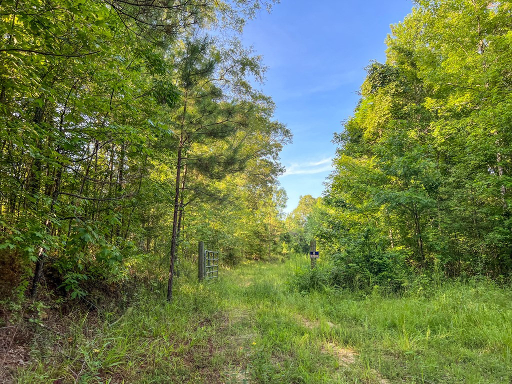 2100 Colonel Neill Road Crystal Springs, MS 39059 - Photo 13 of 41 Photo 13