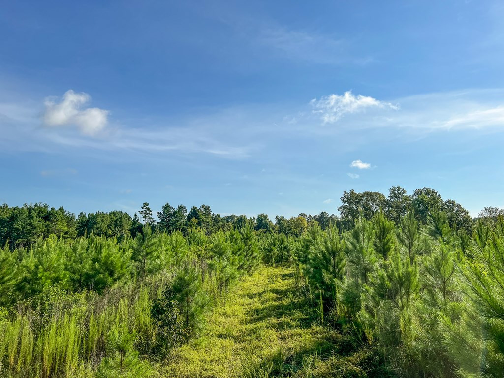 2100 Colonel Neill Road Crystal Springs, MS 39059 - Photo 27 of 41 Photo 27