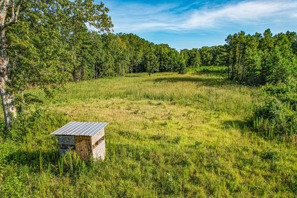 2100 Colonel Neill Road Crystal Springs, MS 39059 - Photo 8 of 41 Photo 8