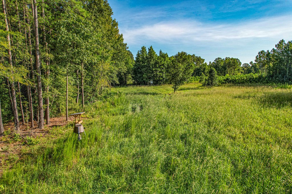 2100 Colonel Neill Road Crystal Springs, MS 39059 - Photo 9 of 41 Photo 9