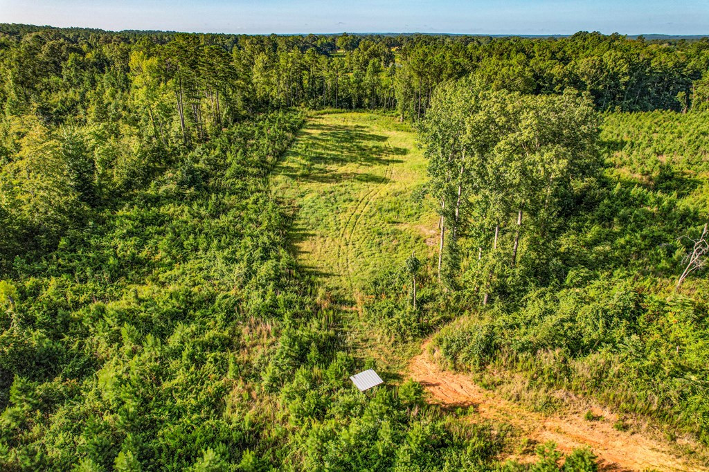 2100 Colonel Neill Road Crystal Springs, MS 39059 - Photo 10 of 41 Photo 10