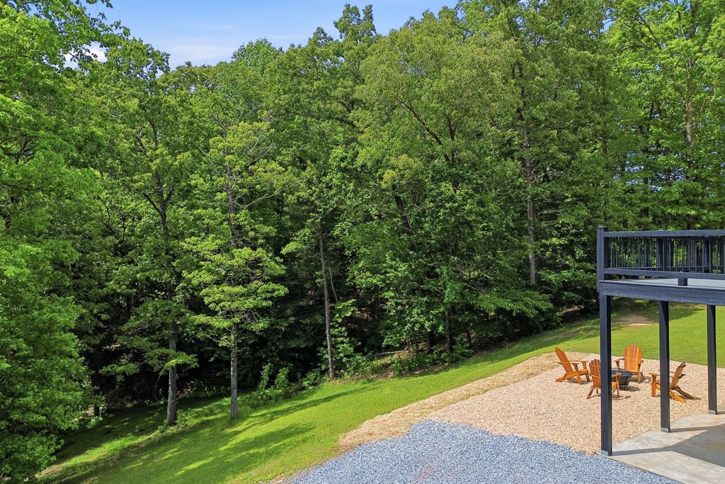 4725 Boardtown Road Ellijay, GA 30540 - Photo 51 of 56 Gallery Image 51