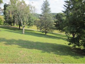 249 Summer Sound Road Piney Flats, TN 37686 - Photo 16 of 22 beautiful yard