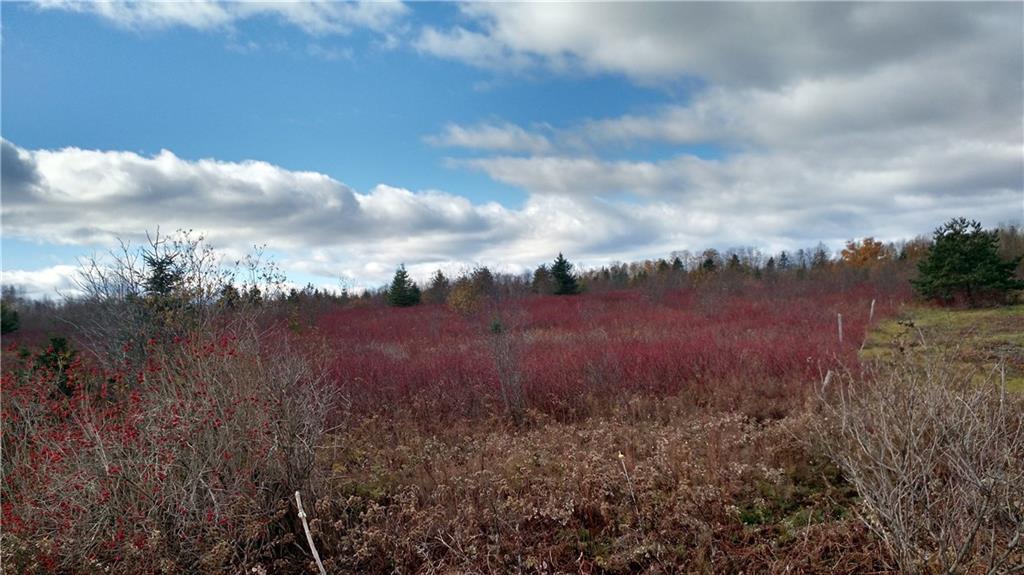 Lot 31 Green Road Houlton, ME 04730 - Photo 3 of 9 Photo