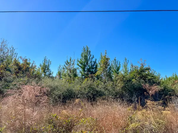 a view of a field
