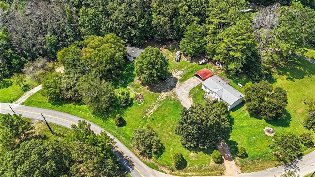 71 Kirk Road Northwest White, GA 30184 - Photo 67 of 74 a picture of plant