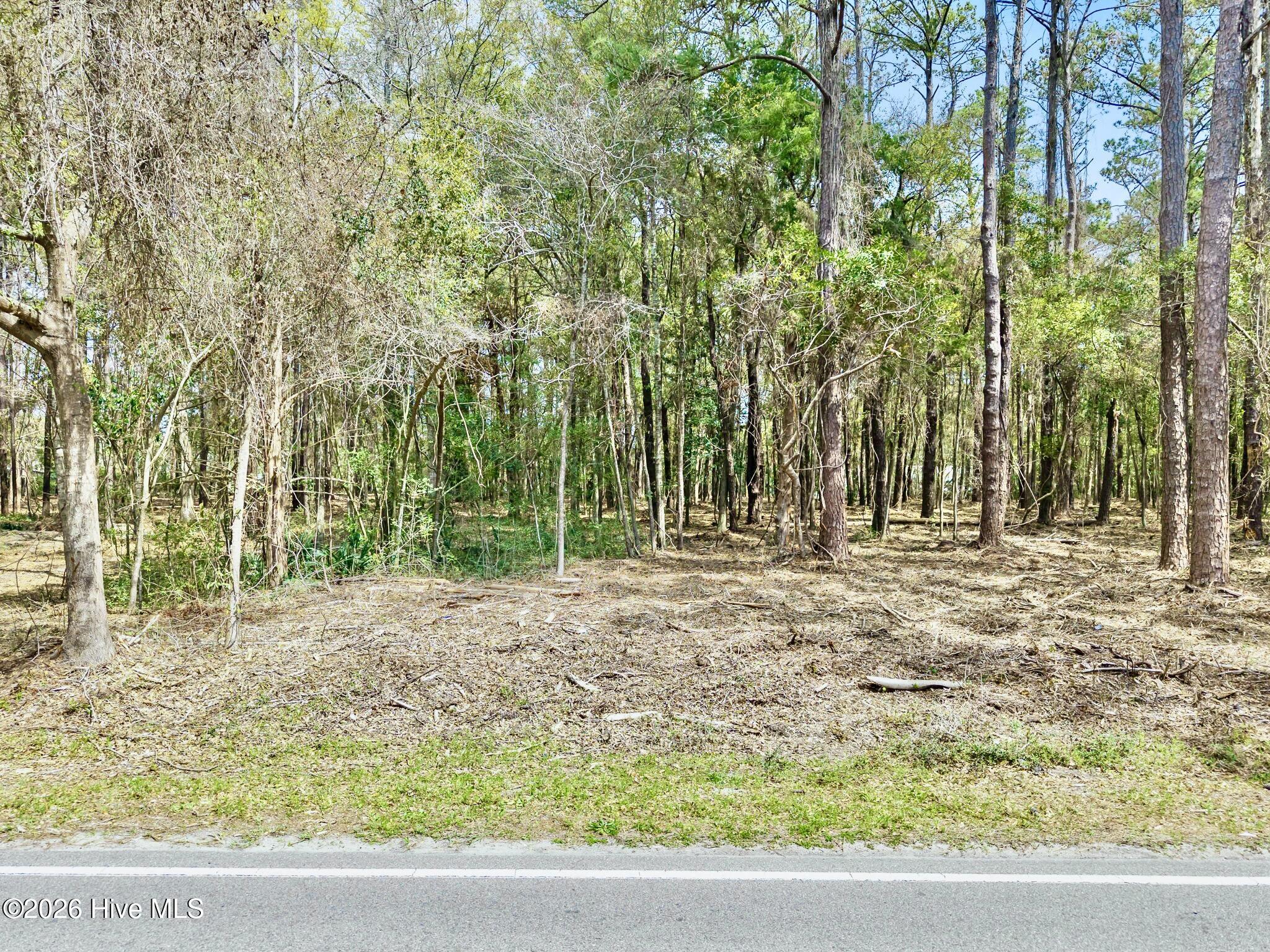 1593 Bricklanding Road Southwest Shallotte, NC 28470 - Photo 3 of 12 IMG_6522