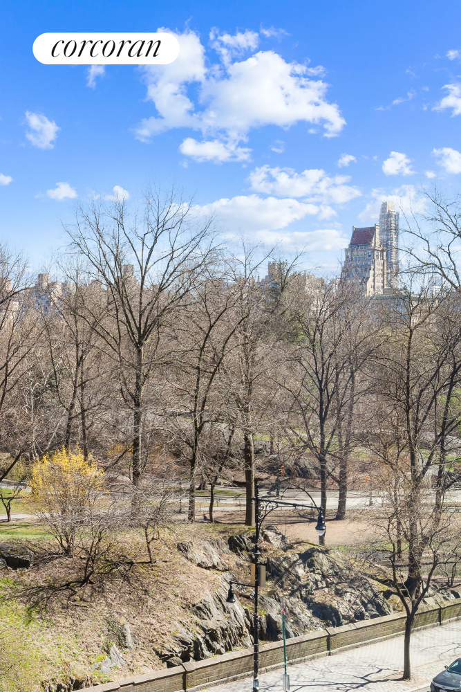 160 Central Park South, Unit 410 Manhattan, NY 10019 - Photo 9 of 17 a view of a dry yard with trees