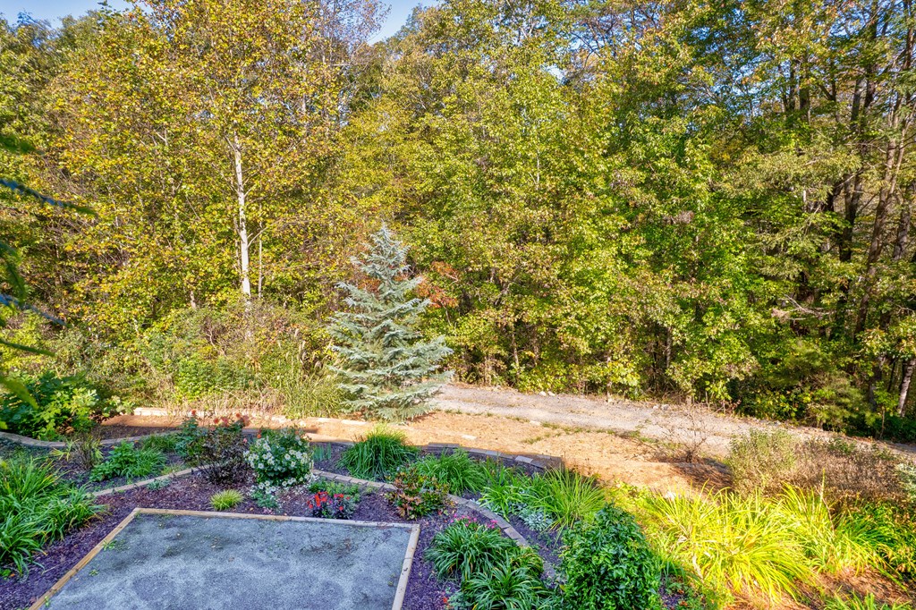 355 Mealer Road Ellijay, GA 30536 - Photo 5 of 65 Gallery Image 5