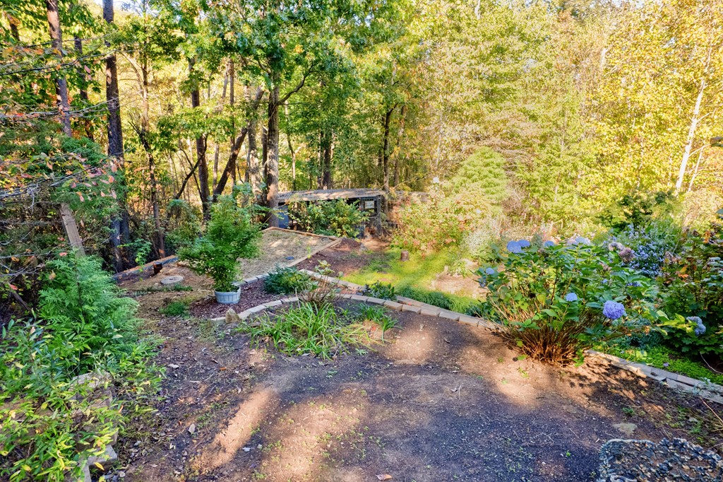 355 Mealer Road Ellijay, GA 30536 - Photo 60 of 65 Gallery Image 60