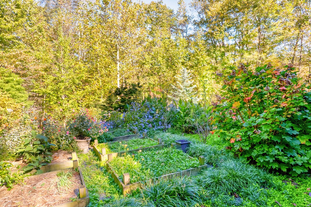 355 Mealer Road Ellijay, GA 30536 - Photo 6 of 65 Gallery Image 6