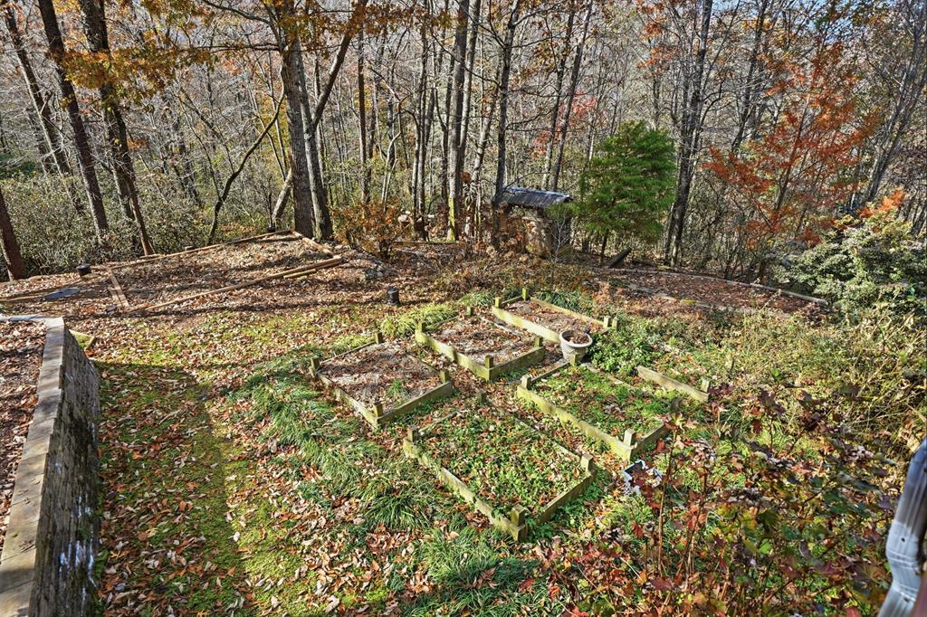 355 Mealer Road Ellijay, GA 30536 - Photo 61 of 65 Gallery Image 61