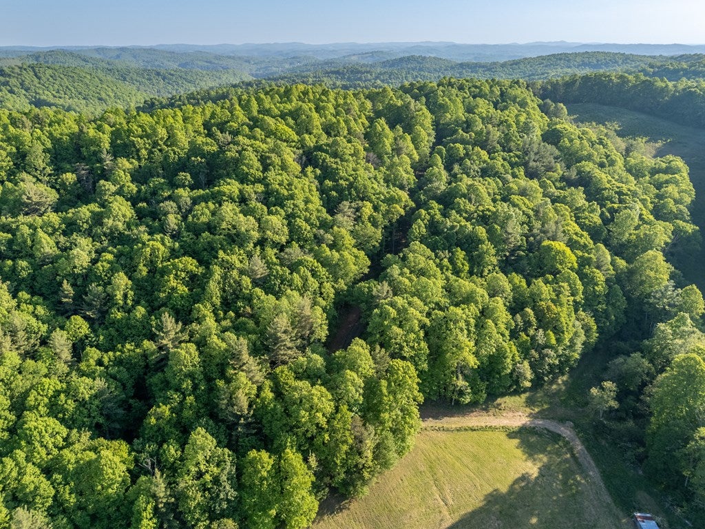65-ac Dugspur Road, Unit 18 Dugspur, VA 24325 - Photo 31 of 68 Gallery Image 31