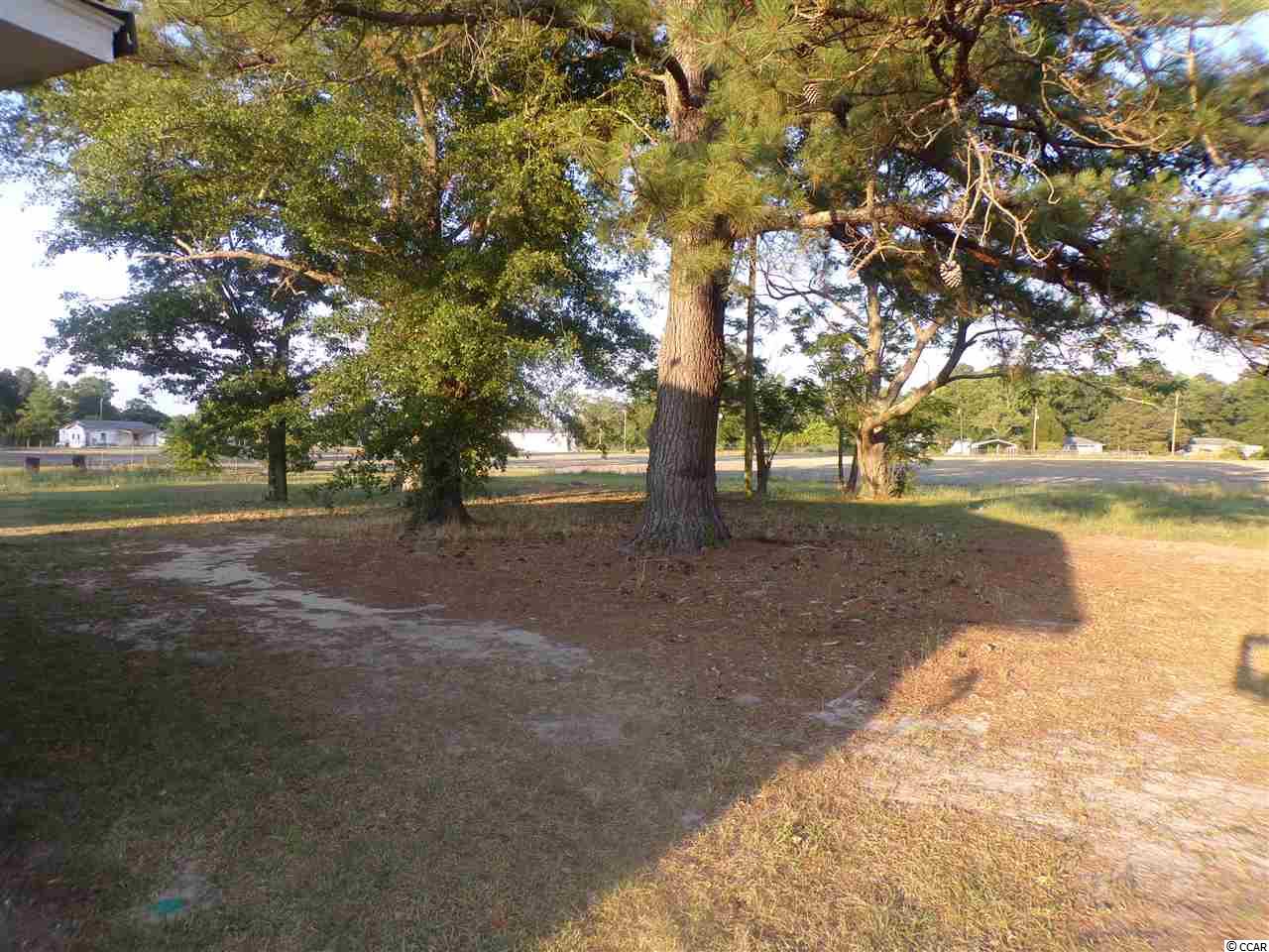 1417 Country Manor Road Darlington, SC 29532 - Photo 5 of 13 Gallery Image 5