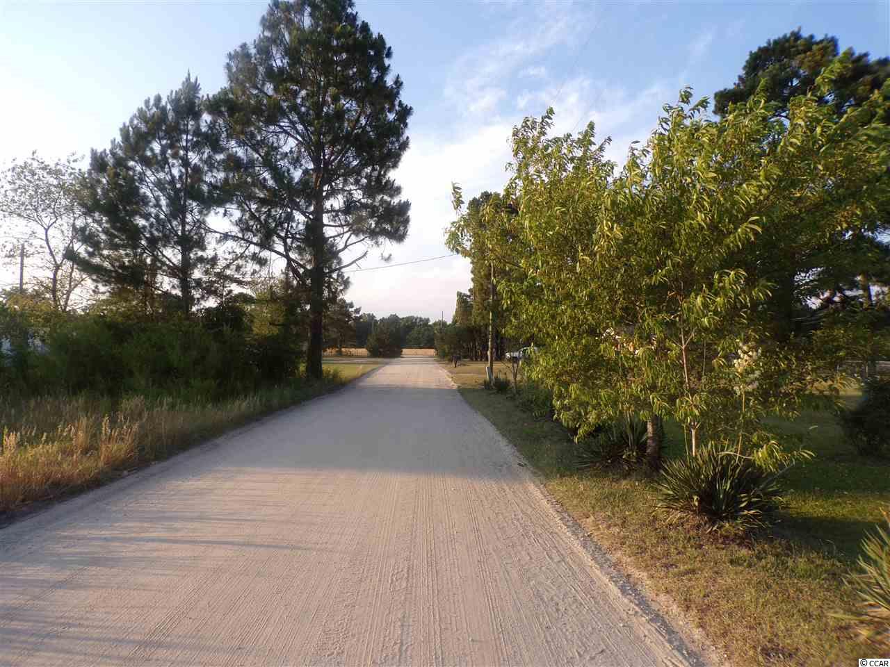 1417 Country Manor Road Darlington, SC 29532 - Photo 6 of 13 Gallery Image 6