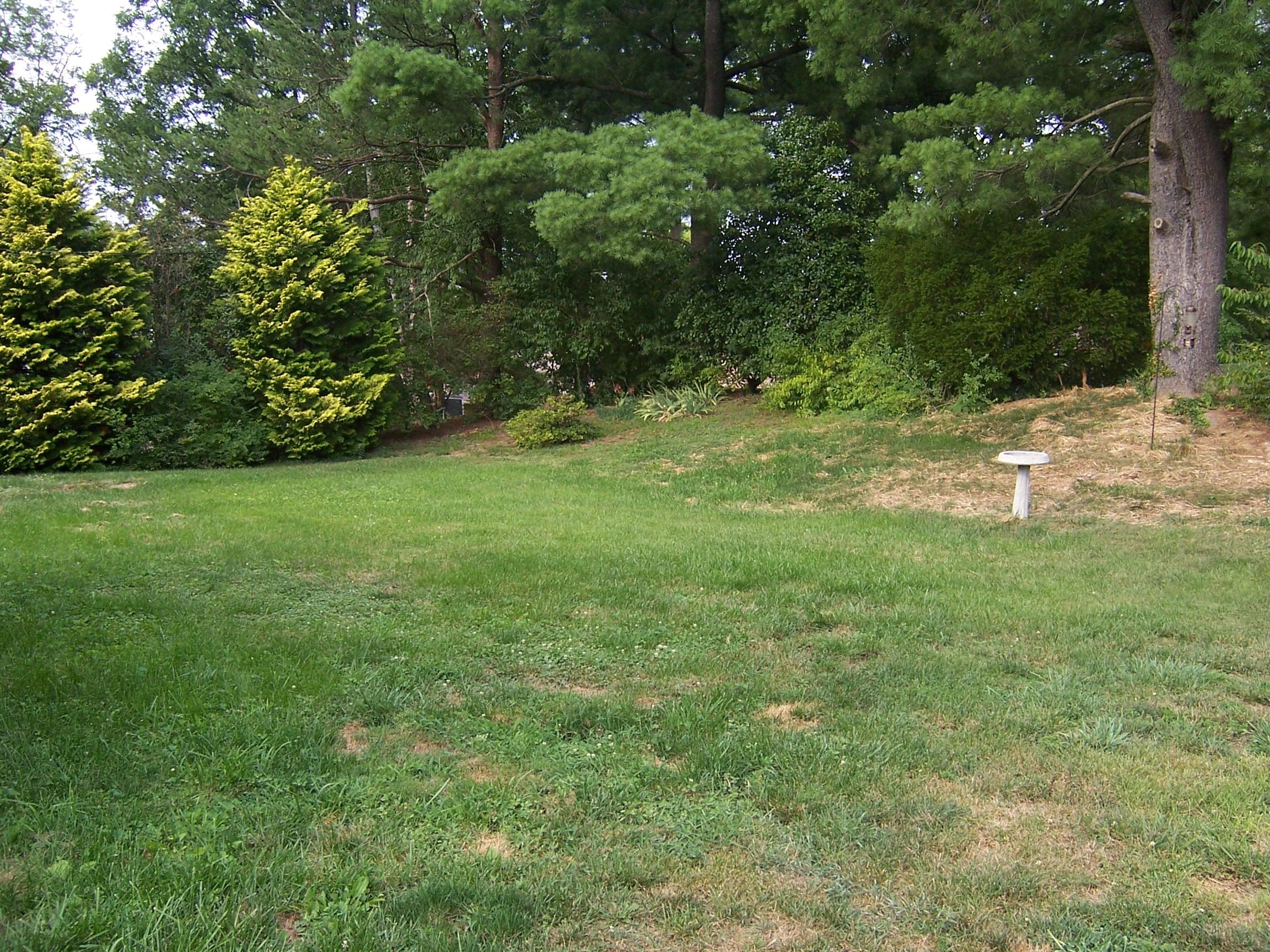 1928 Airview Road Southwest Roanoke, VA 24018 - Photo 29 of 30 Yard