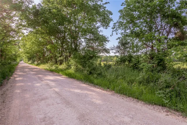a view of a backyard of a house