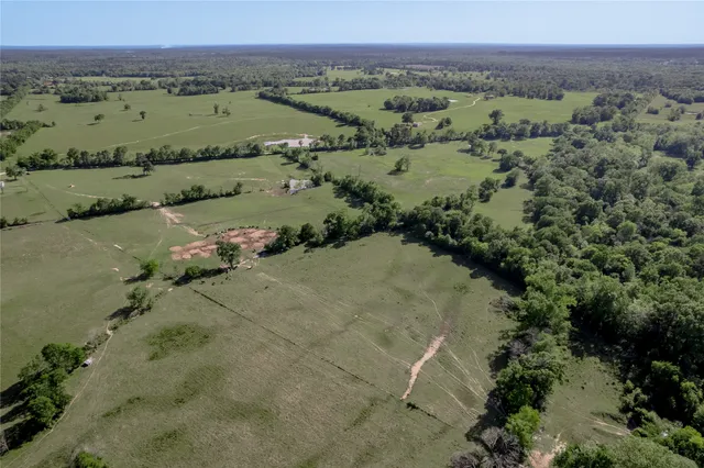an aerial view of greenery