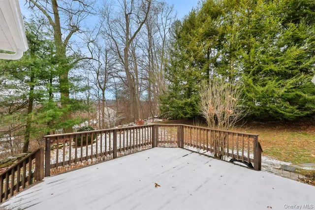 a view of a yard with plants and trees