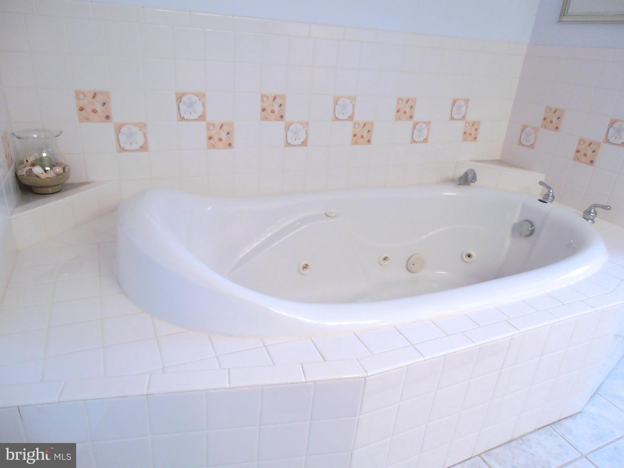 10216 Racquet Circle Manassas, VA 20110 - Photo 24 of 29 Bath (Master)