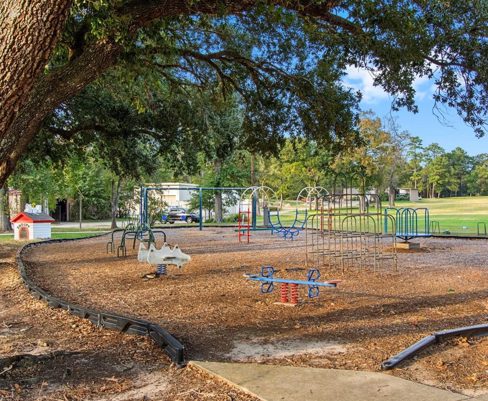 116 Sun City Lane Conroe, TX 77304 - Photo 38 of 39 Community Playground