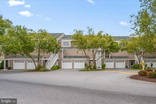 a view of a white house with a large tree and plants