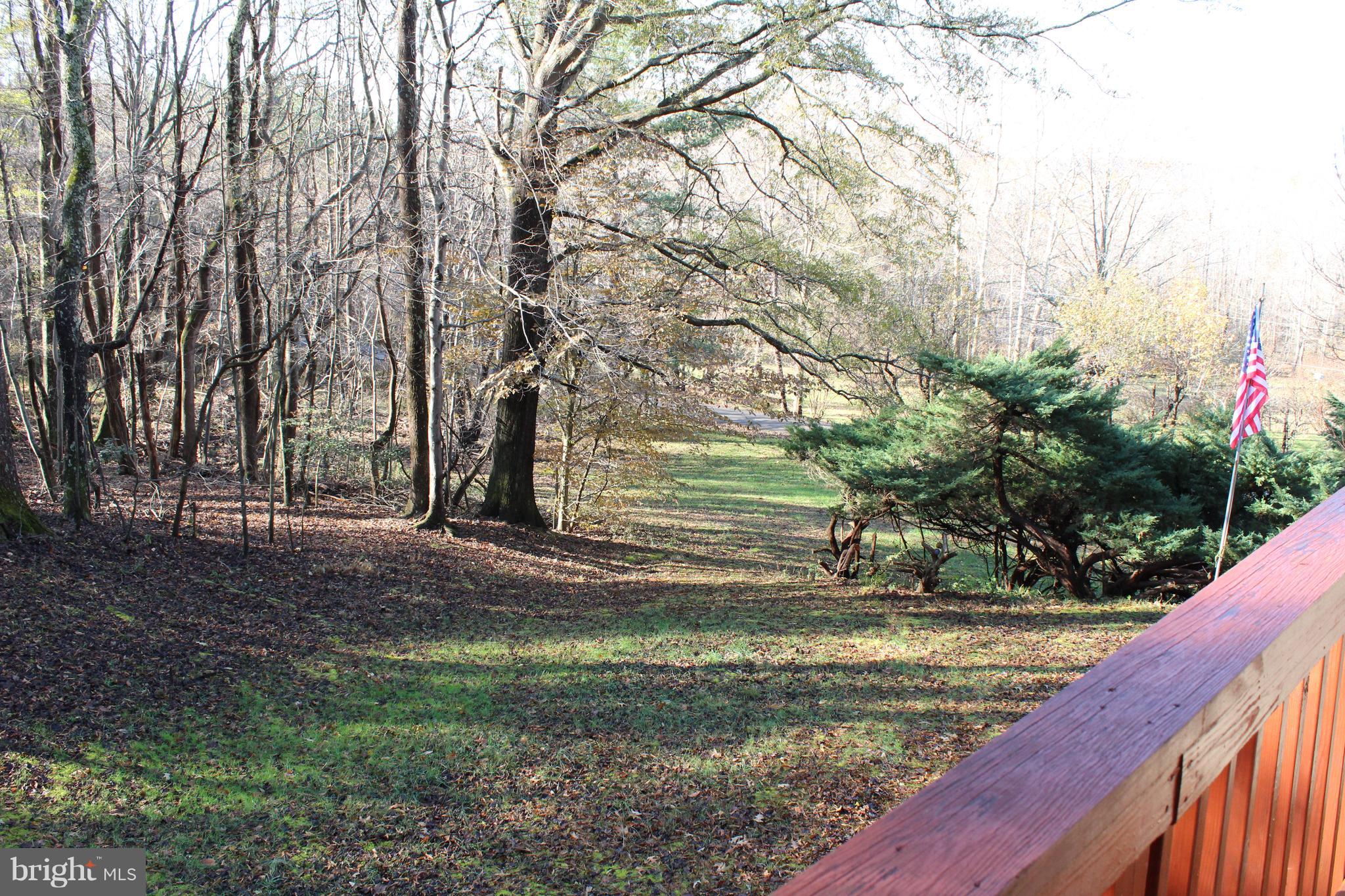 7760 Estevez Road La Plata, MD 20646 - Photo 37 of 89 Large, private and wooded yard