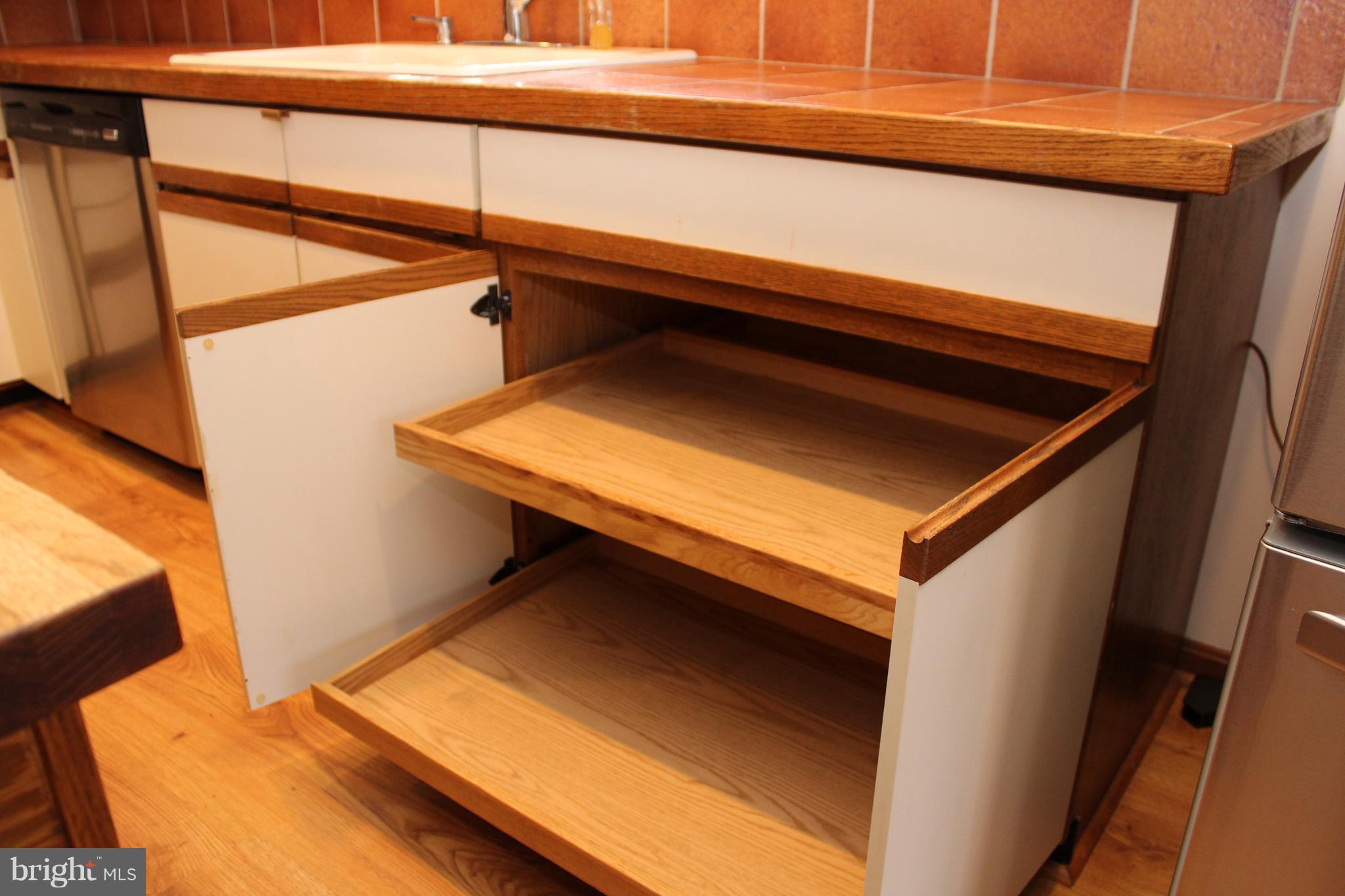 7760 Estevez Road La Plata, MD 20646 - Photo 59 of 89 Slide out cabinets