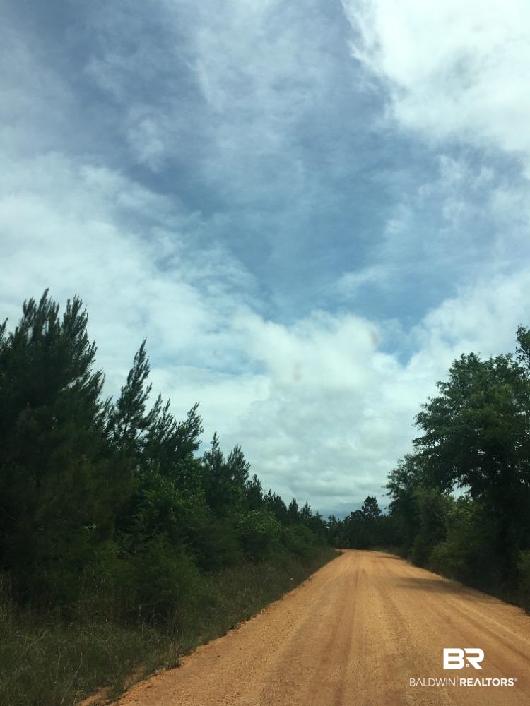 0 Knowles Road Flomaton, AL 36441 - Photo 1 of 3