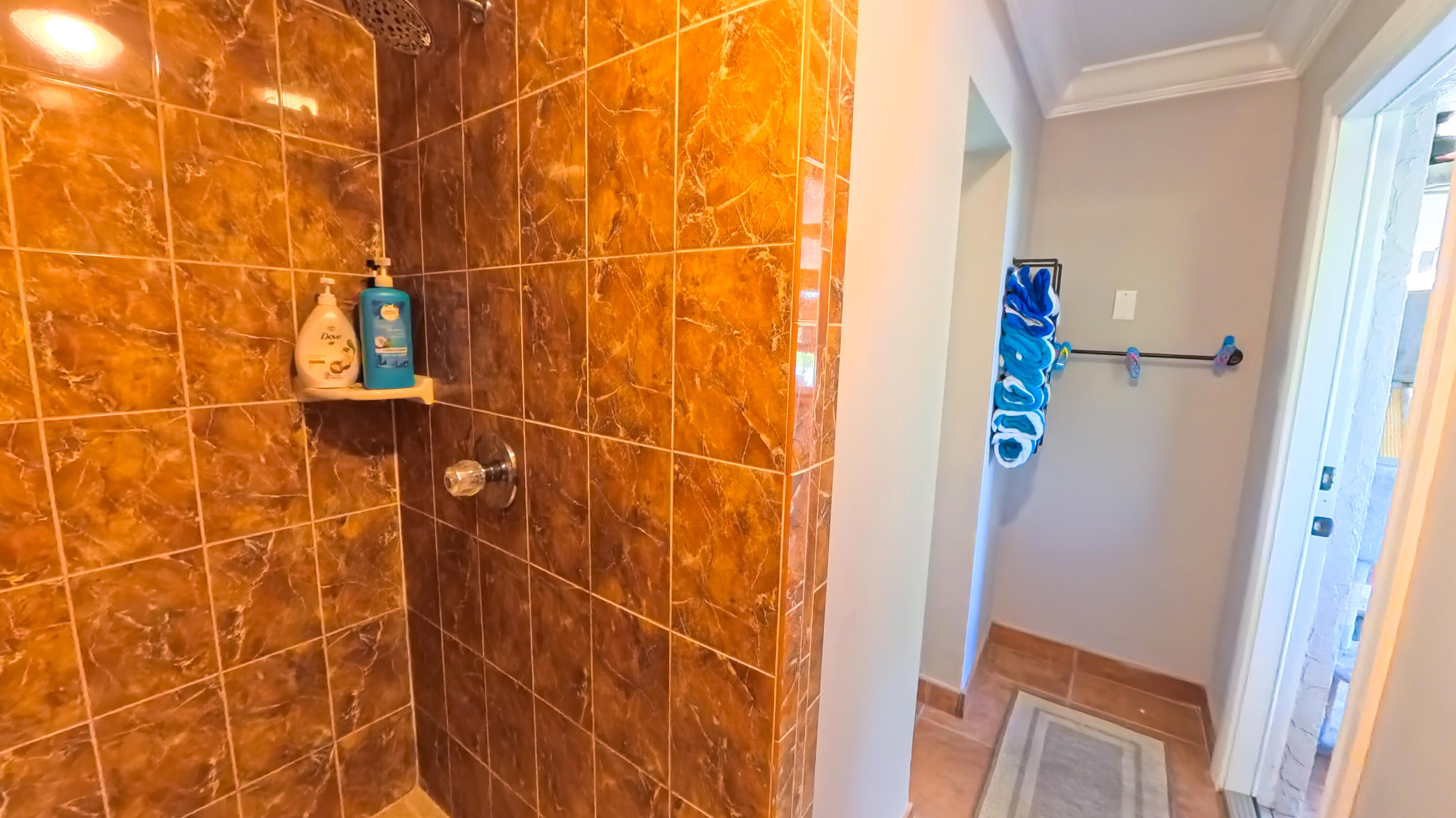 14225 43rd Road North Loxahatchee, FL 33470 - Photo 83 of 108 Bathroom Pool 3
