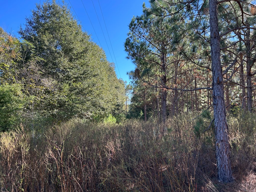 140/ Cty Road Headland, AL 36345 - Photo 5 of 33