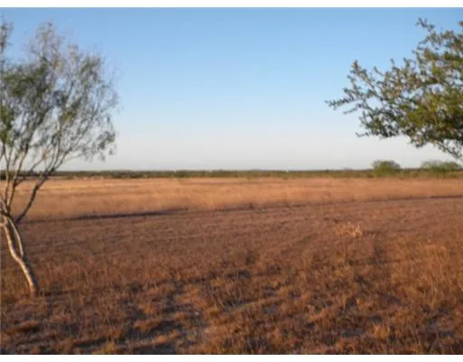 a view of an ocean beach