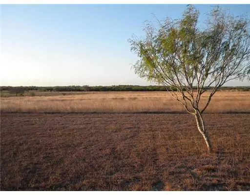 a view of an ocean beach