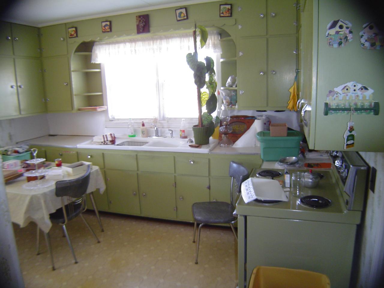 2340 Doe Run Road Rocky Mount, VA 24151 - Photo 10 of 10 Kitchen