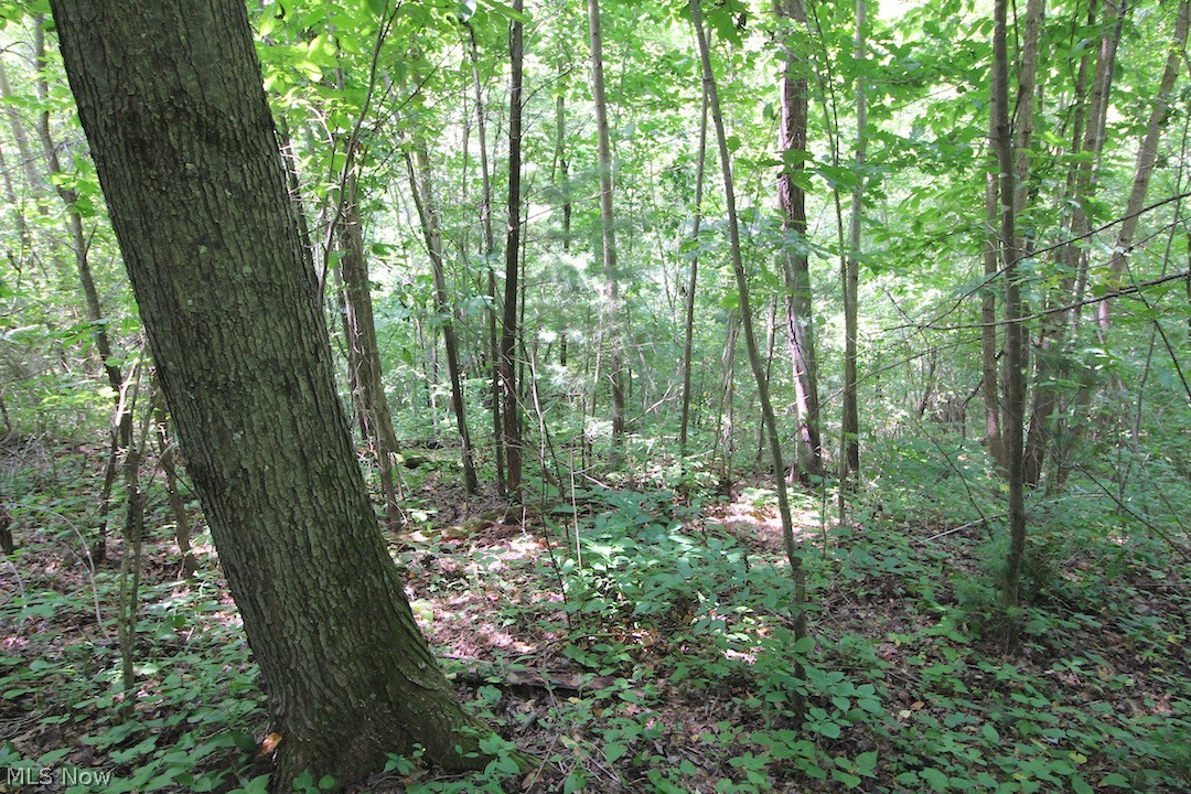 Mt Hope Ridge Rd Road Graysville, OH 45734 - Photo 13 of 35 Gallery Image 13